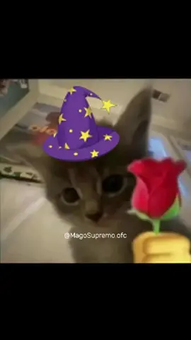 Oie. . . Voz feminina: @⋆˚࿔ 𝒢𝒶𝒷𝒾 𝜗𝜚˚⋆  . #meme #reels #magosupremo #fpy #viral #humor #explorar #funny #foryoupage❤️❤️ 