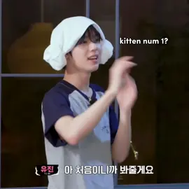 Meow 😸 yujin and his hyung  #zb1 #zerobaseone 
