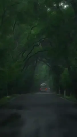 Có ăn, có mặc, có sự cố gắng Có một chỗ để đi về, có nơi làm việc. Người thân vẫn bình an, vậy là hạnh phúc lắm rồi...