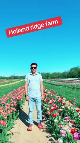 #tulips #farm #new jersey #foruoupage #goviral #beauty #