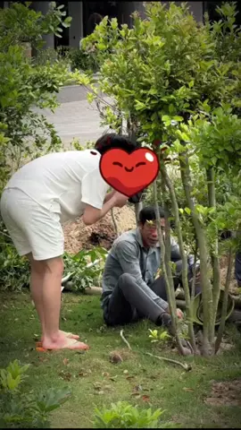 Ảnh k live thì mk đành lấy tư liệu cũ v( Cre: @Chiếc Quạt Đỏ Cậu Dương 🪭 ) #phantrongduong #trongduong 