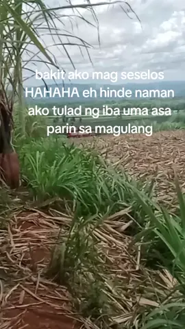 #tiktokfffffyyyttttviralvido 