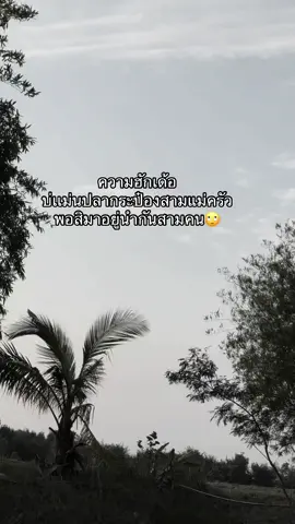 🤭#fyp #แคปชั่นอีสาน #ตลกๆขําๆ55 #ลงสตรอรี่ได้ #แคปชั่นคําคม #อย่าตั๋วเถาะ 