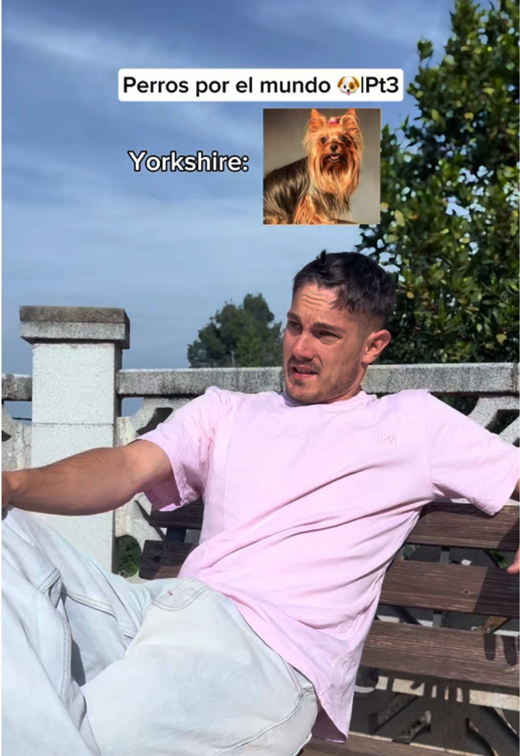 Solo es una historia de amor ❤️🥹 ig: odey__gil #humorperros #humorviral #humormascotas #perrosderisa #memesdeperros #perrosporelmundo #odeigilperros 