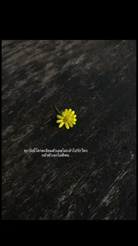 #เธรด #เธรดTails #เธรด #ฟีดดดシ #ยืมลงสตอรี่ได้ #เธรดแทนความรู้สึก #tiktok #เอาขึ้นหน้าฟีดที 