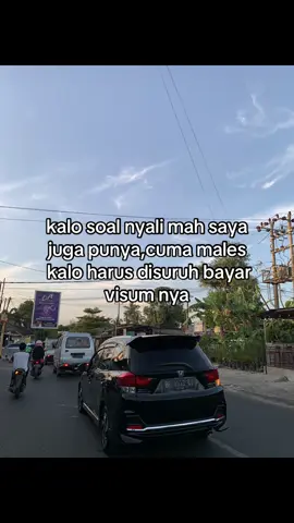 #lampung04insomnia #teratai04insomnia 
