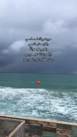 #foryou #وفهمت_عنيك #amrdiab 