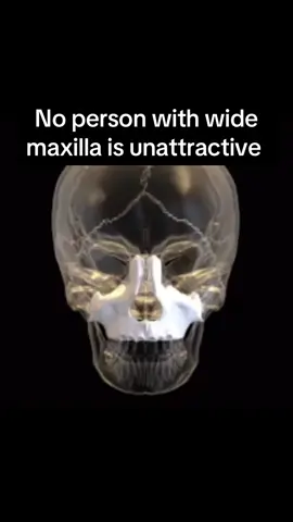 Maxilla is the game changer  #looks #looksmaxing #looksmax #mewing #mewingshop #mogged #GlowUp #SelfImprovement #mew #transformation #jordanbarrett #mogger #chicolachowski #yochico #chico #expander #improve #maximalism #maxilla #upperpalateexpansion #forwardgrowth  How to improve maxilla - check the link in the bio