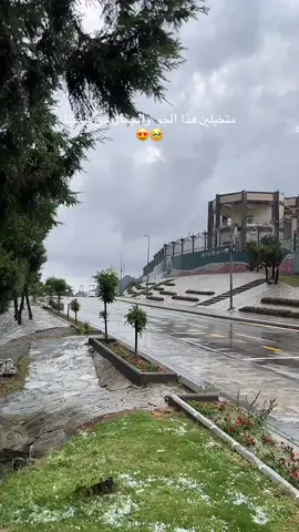 #امطاراليوم #الباحة #الصيف #رغدان 