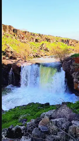 keşfet tiktok 