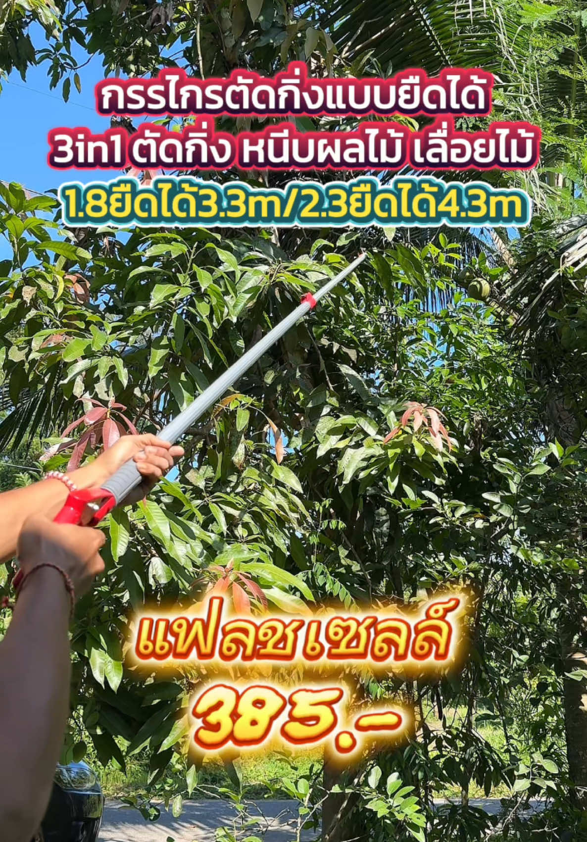 กรรไกรตัดกิ่งไม้ยืดได้ 3in1 ตัดกิ่ง หนีบผลไม้ เลื่อยไม้ 1.8-3.3m/2.3-4.3m #กรรไกรตัดกิ่งไม้ #กรรไกรตัดกิ่งด้ามยาว #กรรไกรตัดกิ่งไม้สูง #กรรไกรตัดกิ่ง #เครื่องมือการเกษตร #TikTokป้ายยา #TikTokShopครีเอเตอร์ #TikTokMadeMeBuyIt #tiktokshop55แบรนด์แท้ลดกระหน่ํา 