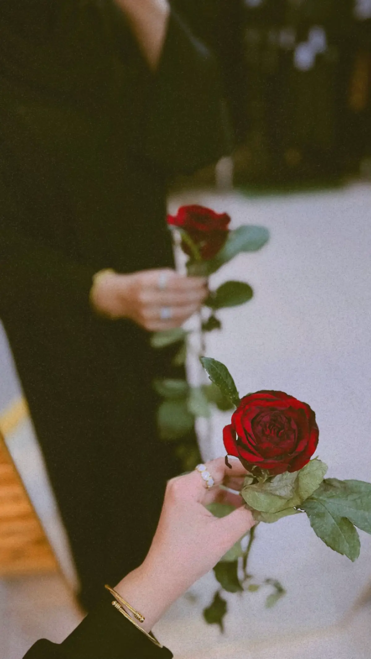 وردة وشايل وردة ♥️ #fbyツ #اكسبلورexplore #المفرق_الباديه_الشماليه_الشرقيه 