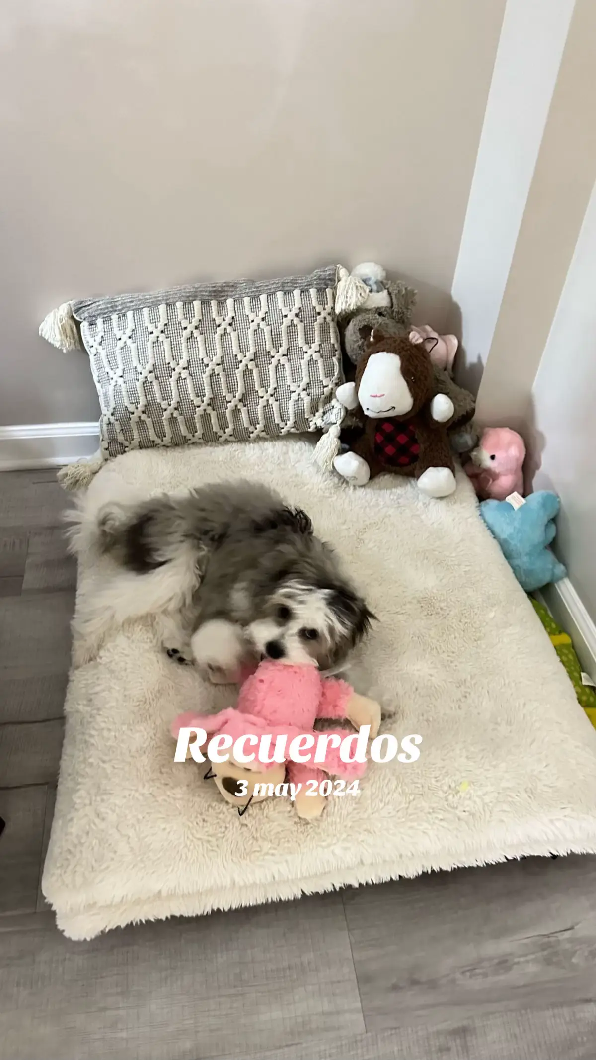 #recuerdos 
