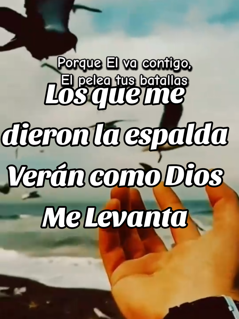 Los que me Dieron La Espalda Verán Como Dios Me Levanta  #musicacristiana #alabanzas_cristianas  #Cristovive  #confianza #rosydearteaga #creatorsearchinsights 