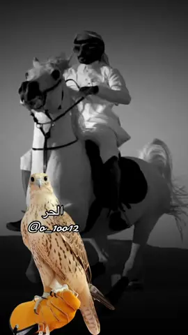 #أكسبلور_شعر_حكم_خواطر 