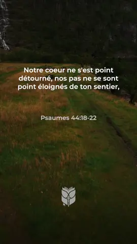 📖 Psaumes 44:18-22 Louis Segond #biblevision #labible