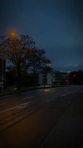 Boche..? 🙂#zaxo_duhok_hewler_slemani_ha #دهوك_زاخو_سليماني_ئاكري_ئامیدی_هولیر @TikTok @L O R D ✪ 