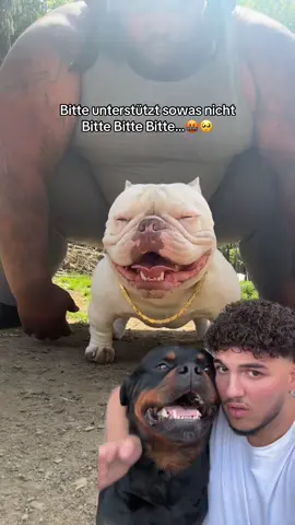 Was ist eure Meinung dazu? 🤬 #viral #viralvideo #fypシ #foryoupage #startseite #goviral 
