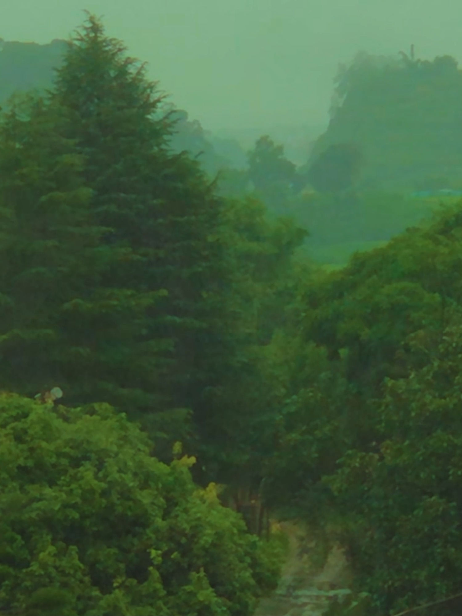 1 hour rain sounds for sleeping | wake up feeling refreshed   #rain #rainsoundsforstudying #rainsound #rainsoundsforsleep #rainsoundsasmr #rainsoundsforsleepandrelaxation #rainsoundsforsleeping #sleep #sleepmusic #musicforsleep #musicforsleeping #sleepaid #musicforthesoul #nature #naturevibes #natureza #naturelover #naturelove #naturesounds #naturesoundsforsleepandrelaxation #lluvia