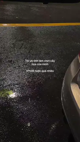 Biết v trồng cây thuỷ sinh. Hoá ra chọn sai cây 