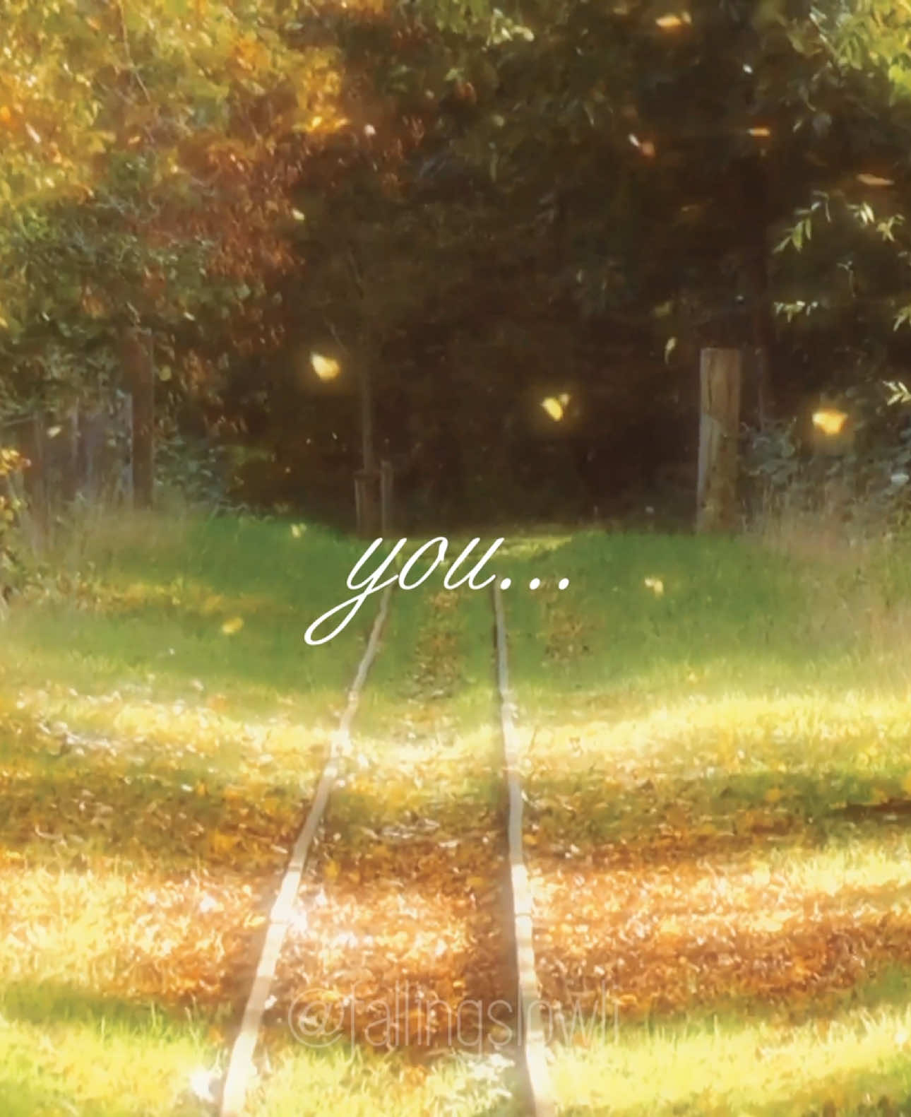 Only you… Source: Freepik, Pexel & Canva  Edit: fallingslowli  #nostalgia #chill #chillvibes #peace #flowers #nature 