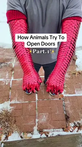 How Animals Try To Open Doors😳🌍#interesting #animals #funny Credits: jayecreations(IG) animalbaby7777(TT)