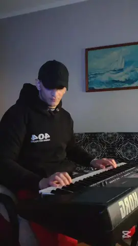 #fyp #foryoupage #viral #balkan #stefkee #korg #korgpa600 #narodnamuzika 