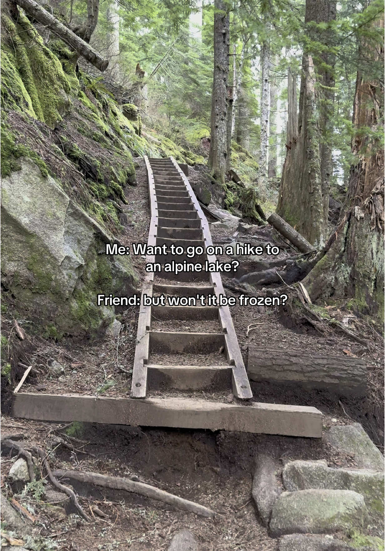 They could not believe their eyes #washington #Hiking #mountains #pnw #fyp 