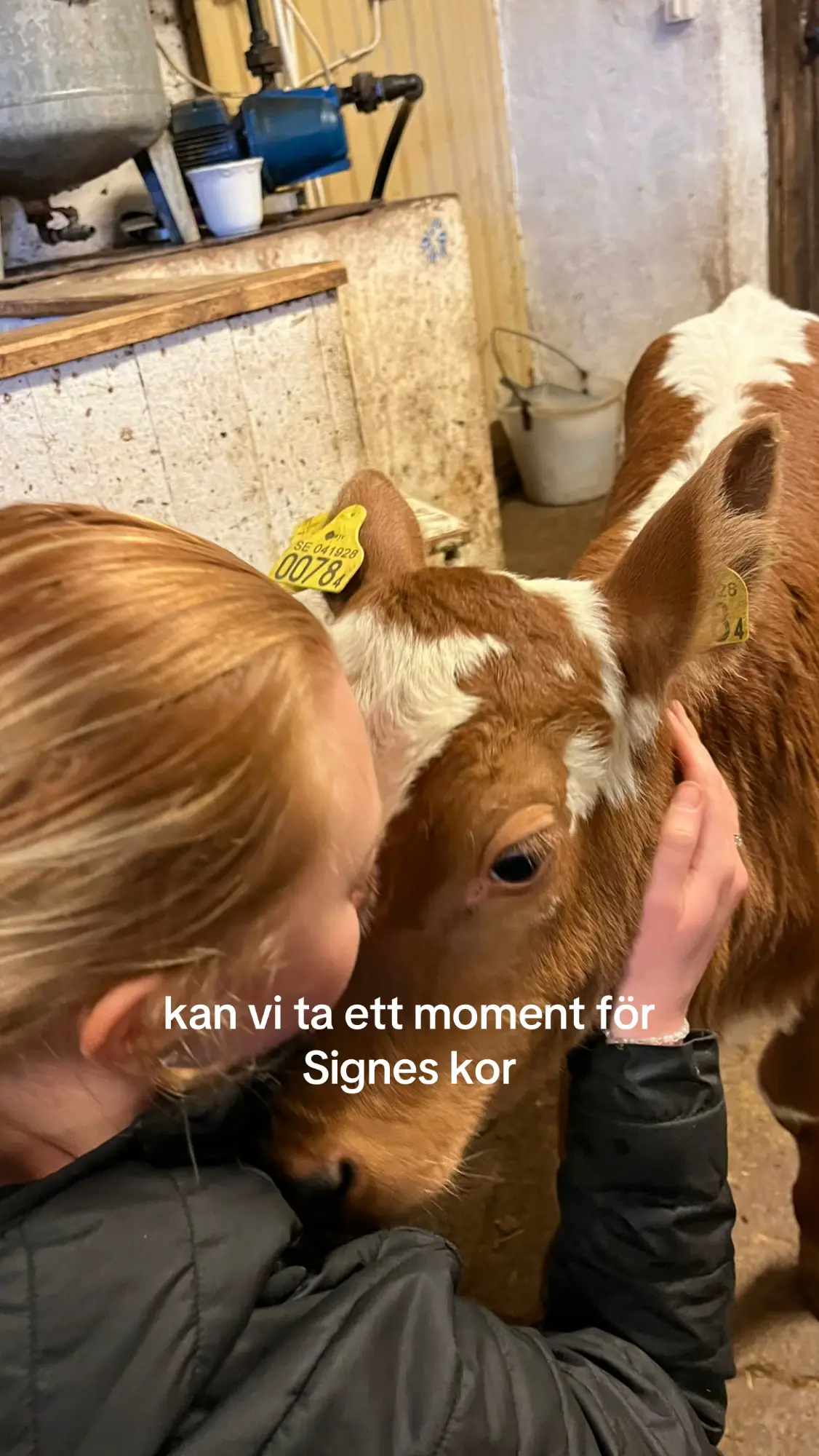 @Signe💣💥 #kossor #ko 
