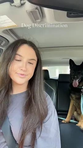 Dog Discrimination #dogdiscrimination #germanshepherd #germanshepherdsoftiktok #fyp #fypシ #fypシ゚viral 