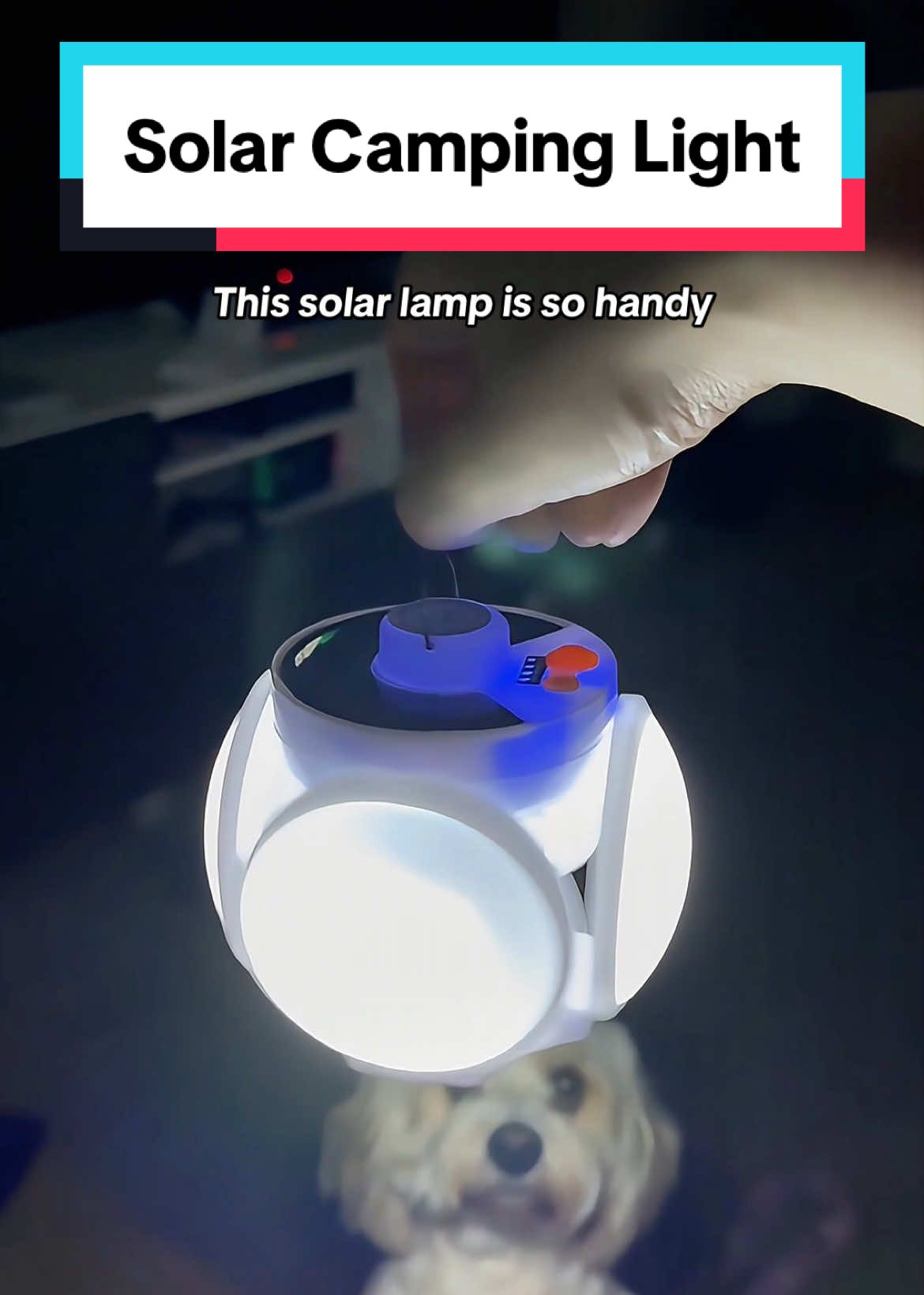 This Solar lamp is great camping and for emergency lighting. Portable Solar Camping Lantern, Foldable LED Football Bulb with Hook, Rechargeable USB Table Lamp for Home, Office, Tent, Emergency Outages. #campinglight #solarlamp #solarlight #camping #emergencylights #TikTokShop #tiktokmademebuyit #spotlight