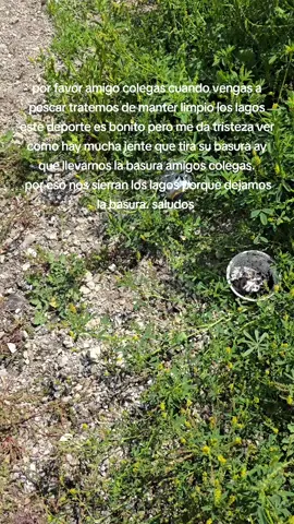 #lago#pesca 