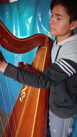 #perdonameseñor_talento_divino #arpa#musicacristiana 