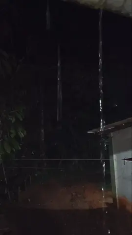 vibes kampung halaman waktu subuh pas hujan🥹 #vibes  #subuhberkah  #hujan  #pagihari  #kampunghalaman #fyppppppppppppppppppppppp  