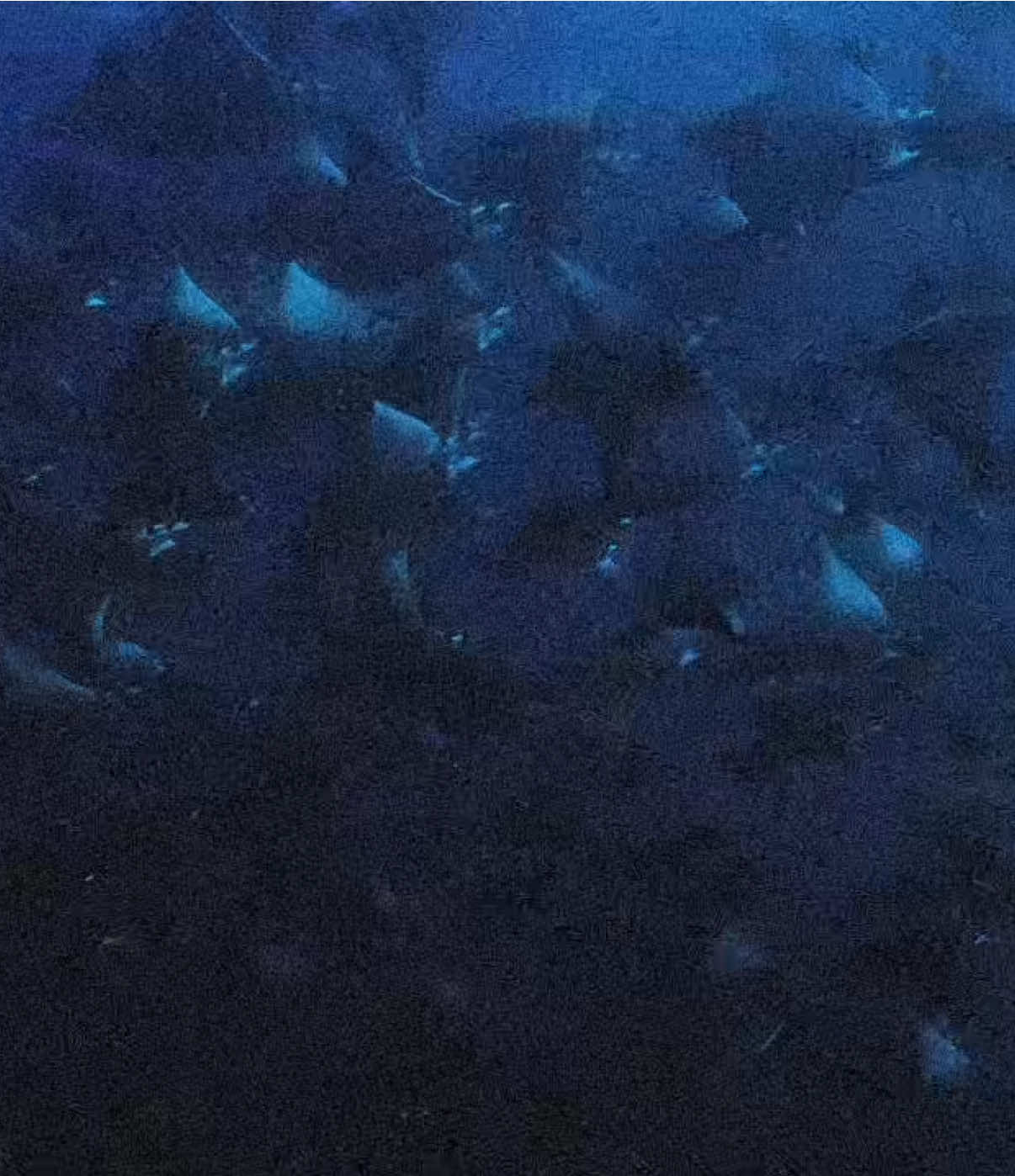 The oceans where life began on earth.  — #fyp #universe #space #briancox #philosophy #davidattenborough #oceans 