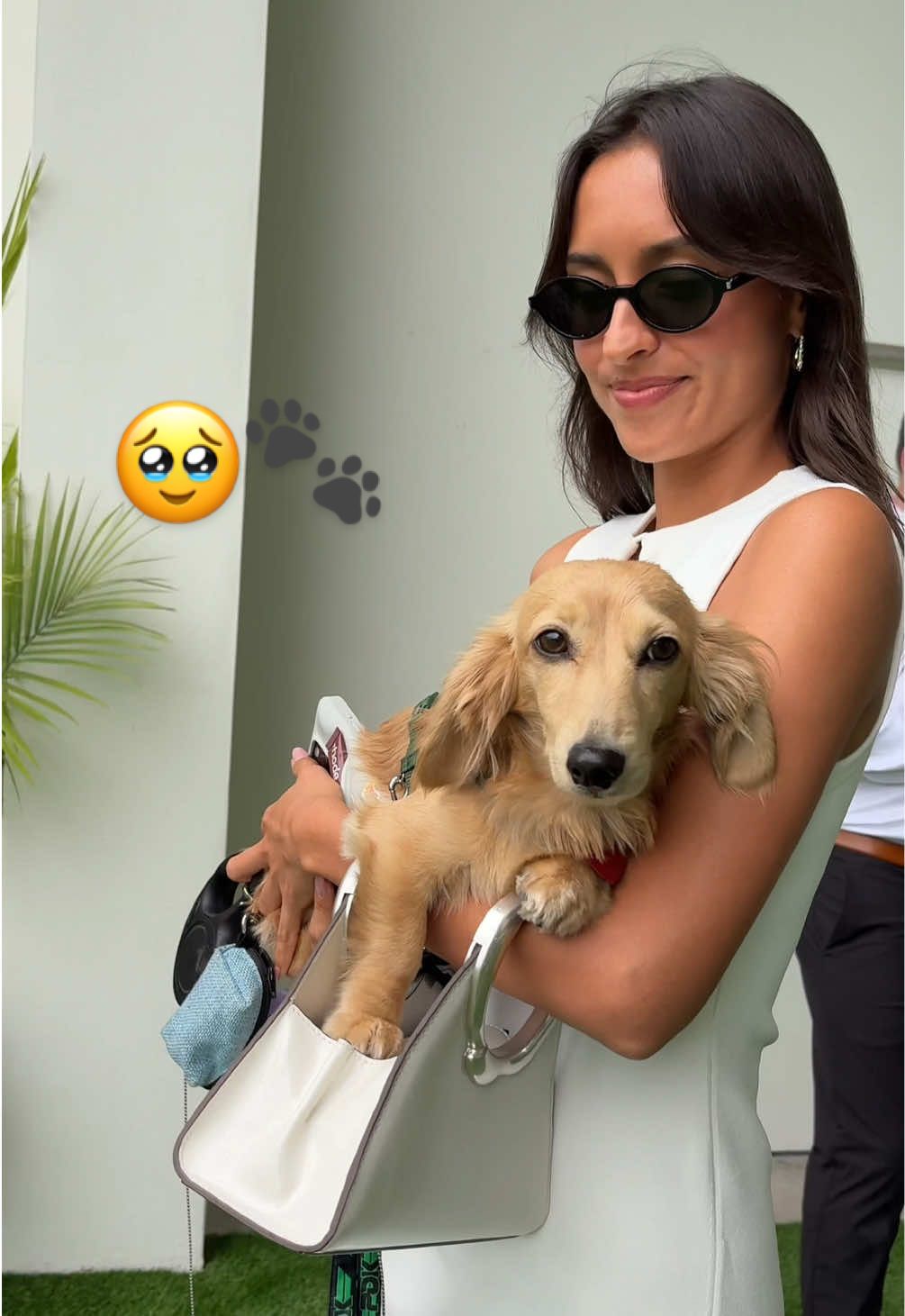 what the people want to see 🥹🐾 @Charles Leclerc @Alexandra Saint Mleux #leoleclerc #f1miami #charlesleclerc 