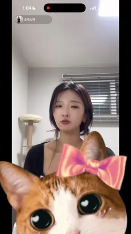 소떡소떡 #ㅊㅊ #추천 #fyp 