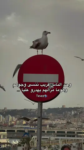 #tevez_branci #foryo #fyp #fyyyyyyyyyyyyyyyy #pov #pourtoi #pourtoi #الجزائر_تونس_المغرب #الجزائر🇩🇿 #trend #الجزائر🇩🇿 #trend #explore #video #1millionaudition #tik_tok #nostalgia #rai #شاشه_سوداء #الشعب_الصيني_ماله_حل😂😂 #كلام_من_ذهب ##تصميمي #تصميم_فيديوهات🎶🎤🎬 #كابكيك #كابكات_افضل_تطبيق #phobia #شلفاوة_والحلاوة🔥 #وهران #كلام_من_ذهب #كلام_من_القلب #كلام_في_الصميم #حب #قصص_حقيقيه #اقتباسات_عبارات_خواطر #حركة_لاكسبلورر #ترند_تيك_توك #جزائرية #جزائري_وافتخر #تونسية_و_افتخر #مغربية🇲🇦 #ديكورات_منزليه_داخليه #جولة_رسمية_نورال #جولة_رسمية #لايفات_المشاهير #لبنان #لايفوتكم_المقطع #جيجل_jijel #جيجل #بجاية_عنابة_قسنطينة_سطيف_بسكرة07 #بجياحة #خوتي_ربي_يحفظكم_ليا🔥 #دعمونه_ابلايك_ومتابعه #محضوره_من_الاكسبلور_والمشاهدا 