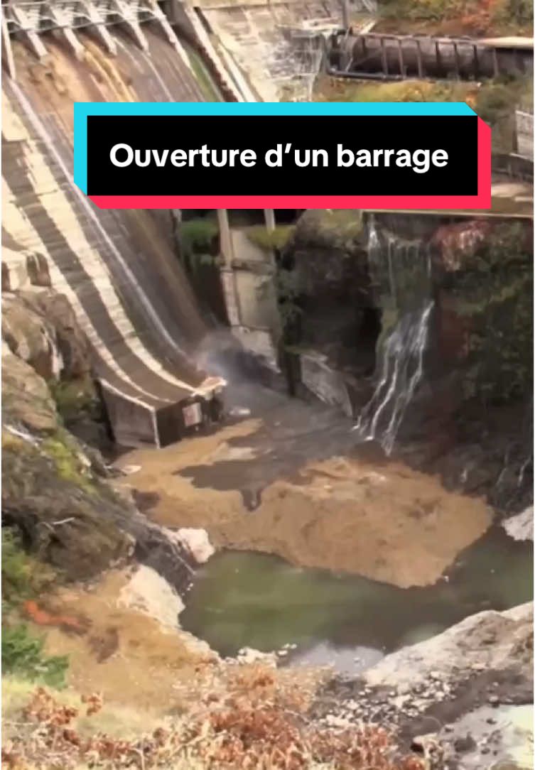 Voici ce qui se passe quand on ouvre un barrage fermé depuis des années 😮 #apprendresurtiktok #barrage #pourtoi #fyp 