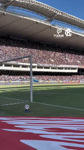 Explode coração, na maior felicidadeeeeeee! 🦁❤️