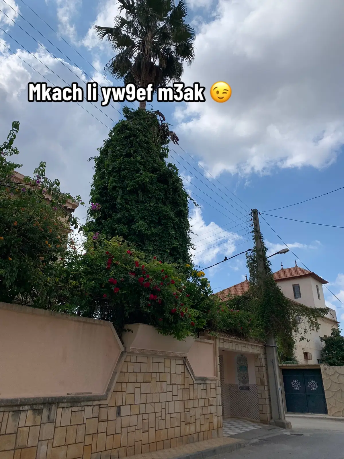 #papa #foryoupage #fypシ゚ #explore #cupcut #الشعب_الصيني_ماله_حل😂😂 #blida #algeria 