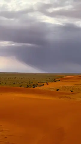 #مساء_الخير 