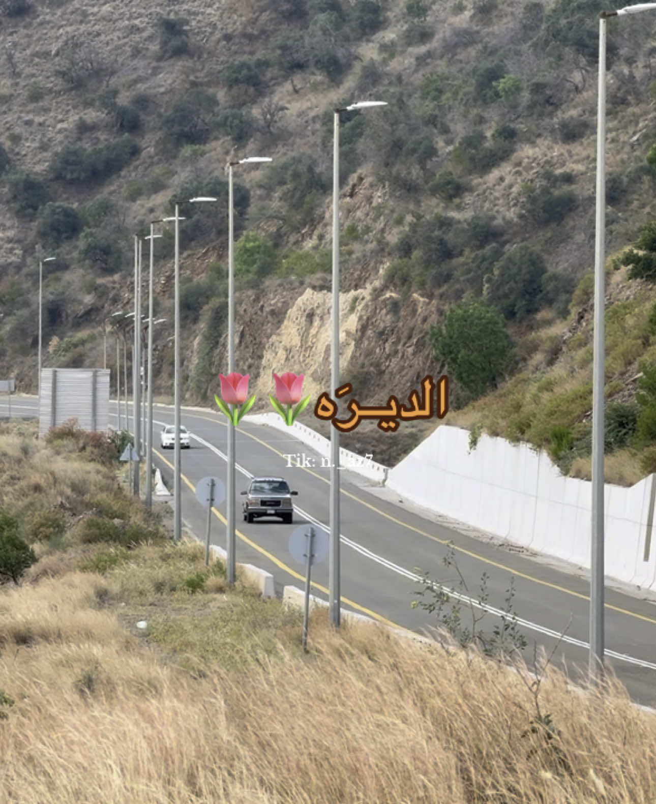 🤎..#الديره #الجنوب #سلطان_البريكي #قصيد #شيلات #بدون_موسيقى #تصويري #اكسبلور #explore_اكسبلورر #like #follow 