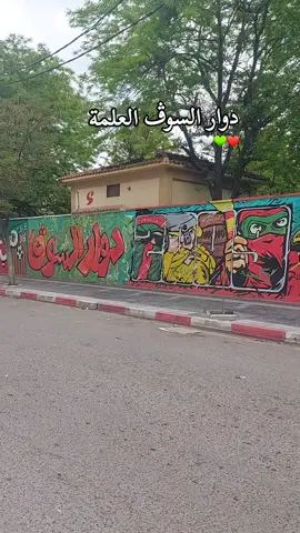 #العلمة______سطيف #بلعلى_طريق_فيلاحية_ #العلمة_يادولة🇩🇿❤️🤍🤍💚✨ #بلعلى_العلمة #العلمة #العلمة___49___سطيف_الجزائر #العلمة_49 #العلمة_شان_والهمة_____سطيف🤗🐊، #دوار_السوق_العلمة #بنت_العلمة_الزين_والهمة🍯👑 #el_eulma #el_eulma___49___sétiif #العلمة______سطيف19_الجزائر_48_ولاية 