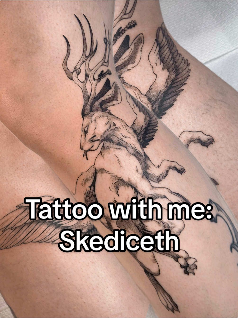 Today’s tattoo: Skediceth from the fallen gods trilogy on @maewilds  • Done at @De Prik Makkers  • #tattoo #tattooartist #skediceth #thefallengods #thefallengodstrilogy #fantasy #fantasyart 