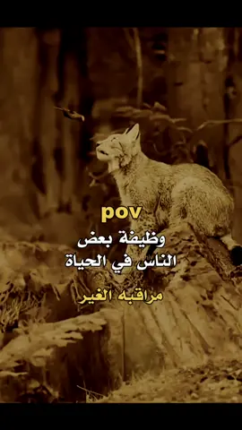 وظيفة  البعض 👌✋#كاضم #إكسبلورر 