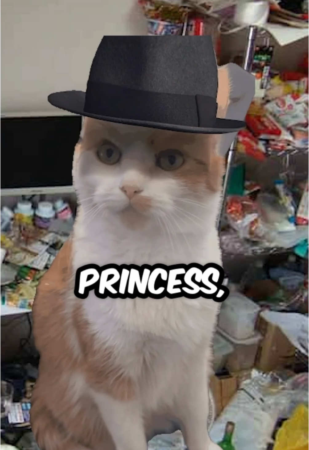 send this to someone u wants to rizzith upon 😎 #larry #evillarry #chillcatguy #catsoftiktok #catmemes #dankmemes #cats #car 