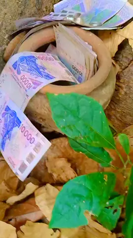 #viralvideos #malitiktok🇲🇱 #cotedivoire🇨🇮 #motivation #tik_tok #video 