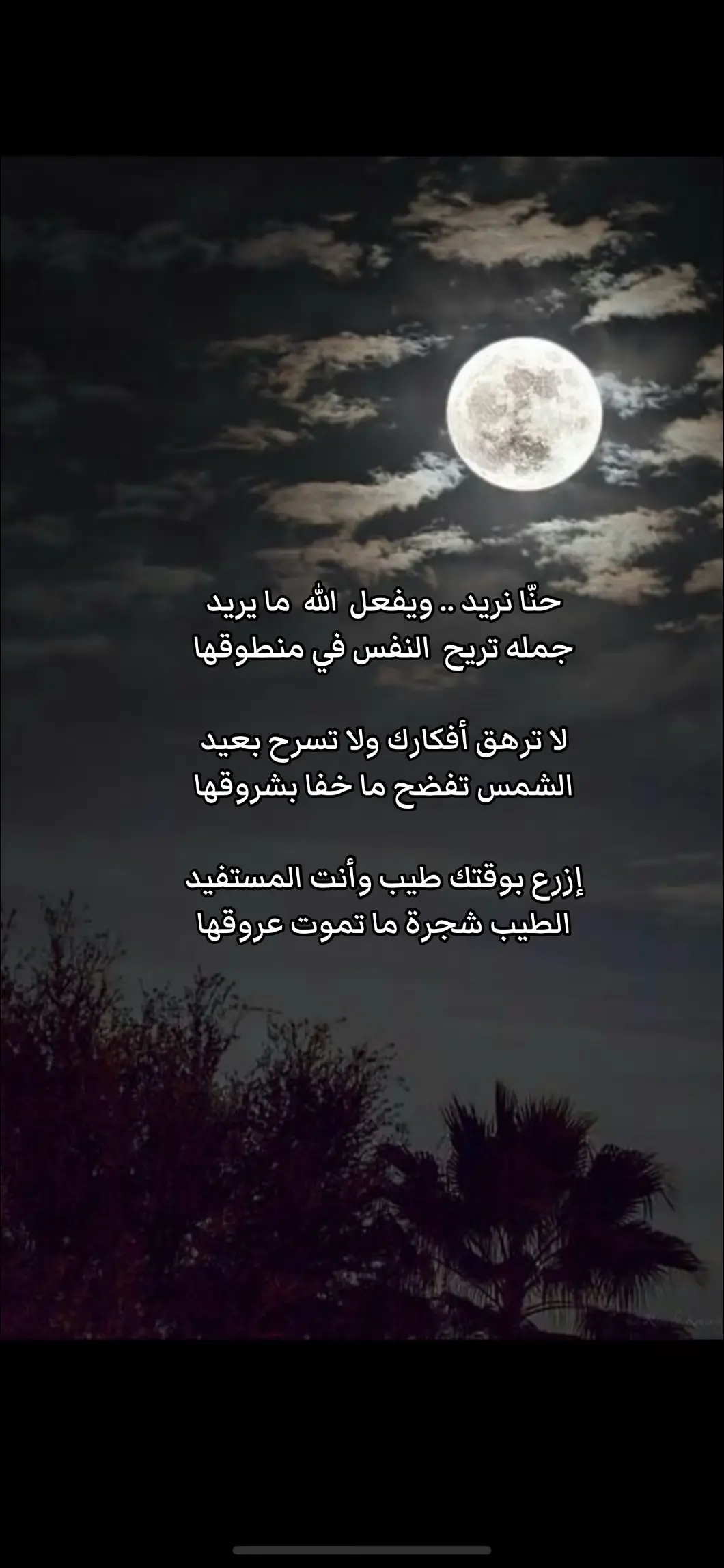 #شعراء_وذواقين_الشعر_الشعبي #قصيده_شعر_بوح_كلام_من_ذهب #قصايد_شعر_خواطر_أكسبلوررر 