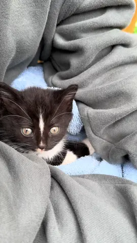 The little sigh gets me 😂